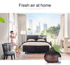 550ml Essential Oil Air Humidifier Remote Control